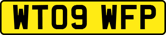 WT09WFP