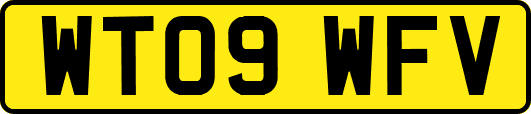 WT09WFV