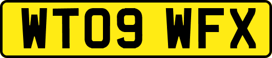 WT09WFX