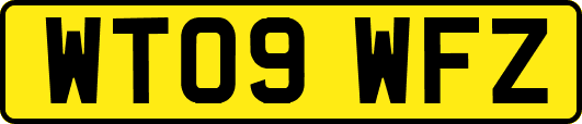 WT09WFZ