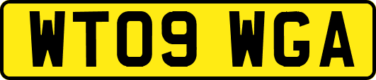 WT09WGA