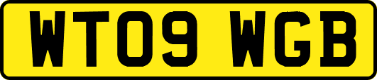 WT09WGB
