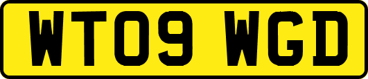 WT09WGD