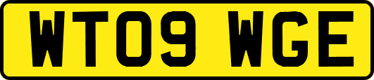 WT09WGE