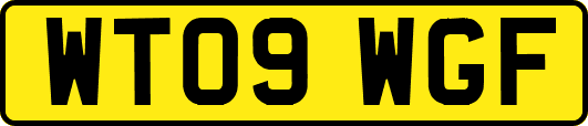 WT09WGF