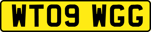WT09WGG
