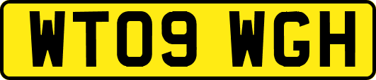 WT09WGH