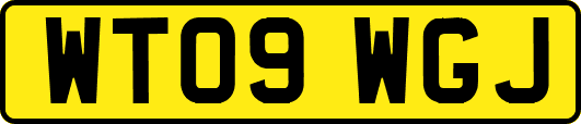 WT09WGJ