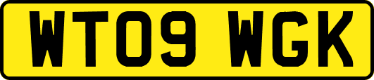 WT09WGK
