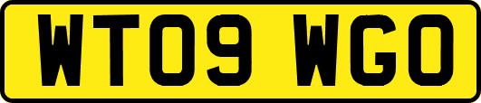WT09WGO