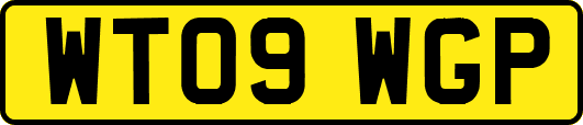 WT09WGP