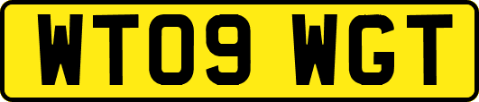 WT09WGT