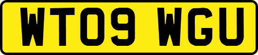 WT09WGU