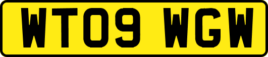 WT09WGW