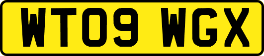 WT09WGX