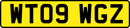 WT09WGZ