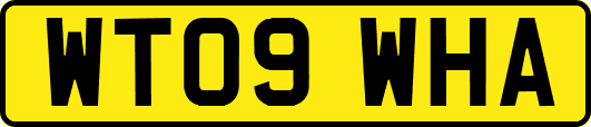 WT09WHA