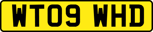 WT09WHD
