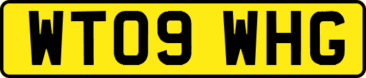 WT09WHG