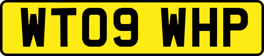 WT09WHP