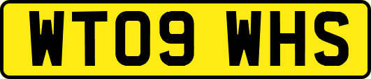 WT09WHS