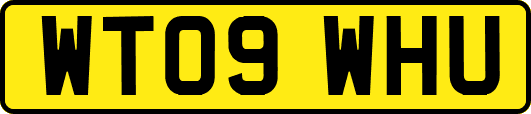 WT09WHU