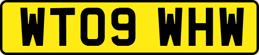WT09WHW