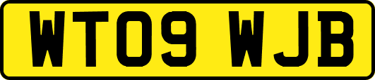 WT09WJB
