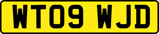 WT09WJD