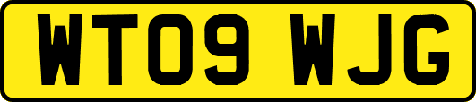 WT09WJG