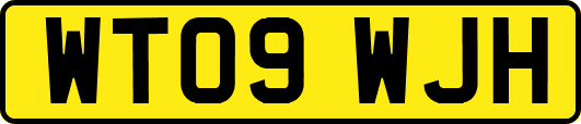 WT09WJH