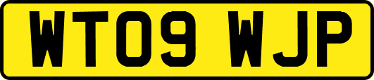 WT09WJP