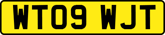 WT09WJT
