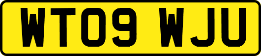 WT09WJU