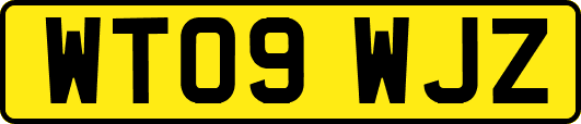 WT09WJZ