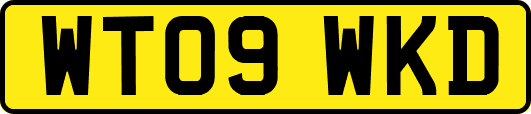 WT09WKD