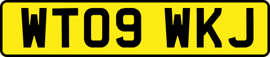 WT09WKJ