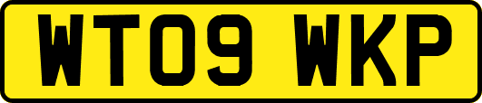WT09WKP