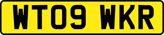WT09WKR