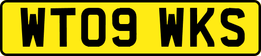 WT09WKS