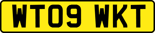 WT09WKT