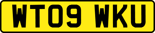 WT09WKU