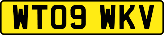 WT09WKV