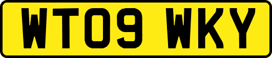 WT09WKY