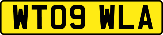 WT09WLA