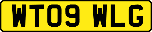 WT09WLG