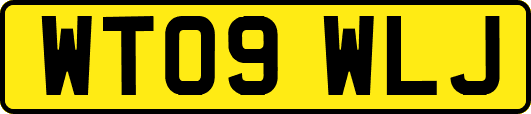 WT09WLJ