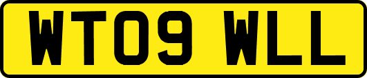 WT09WLL