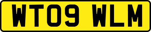 WT09WLM