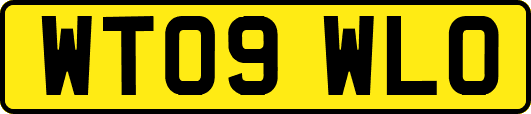 WT09WLO